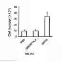Fig. 22 - GM-CSF and IL-4 conjugates, compositions, and methods related thereto