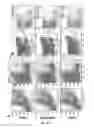 Fig. 23 - GM-CSF and IL-4 conjugates, compositions, and methods related thereto