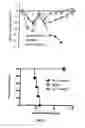 Fig. 25 - GM-CSF and IL-4 conjugates, compositions, and methods related thereto
