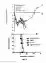 Fig. 26 - GM-CSF and IL-4 conjugates, compositions, and methods related thereto