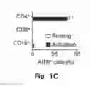 Fig. 03 - Novel Epitope for Switching to TH2 Cell and Use Thereof