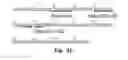 Fig. 09 - Novel Epitope for Switching to TH2 Cell and Use Thereof
