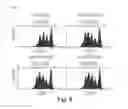 Fig. 12 - Novel Epitope for Switching to TH2 Cell and Use Thereof