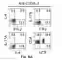 Fig. 13 - Novel Epitope for Switching to TH2 Cell and Use Thereof
