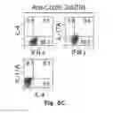 Fig. 15 - Novel Epitope for Switching to TH2 Cell and Use Thereof