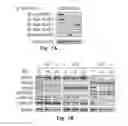 Fig. 16 - Novel Epitope for Switching to TH2 Cell and Use Thereof