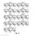Fig. 22 - Novel Epitope for Switching to TH2 Cell and Use Thereof