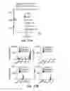 Fig. 23 - Novel Epitope for Switching to TH2 Cell and Use Thereof