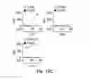 Fig. 24 - Novel Epitope for Switching to TH2 Cell and Use Thereof