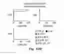 Fig. 25 - Novel Epitope for Switching to TH2 Cell and Use Thereof