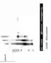 Fig. 29 - Method for altering the binding specificity of plasma proteins by oxidation