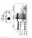 Fig. 12 - Antibody molecules