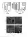 Fig. 02 - Methods and Compositions Related to Immunizing Against Staphylococcal Lung Diseases and Conditions