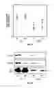 Fig. 03 - Methods and Compositions Related to Immunizing Against Staphylococcal Lung Diseases and Conditions
