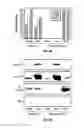 Fig. 05 - Methods and Compositions Related to Immunizing Against Staphylococcal Lung Diseases and Conditions