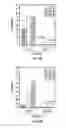 Fig. 12 - Methods and Compositions Related to Immunizing Against Staphylococcal Lung Diseases and Conditions