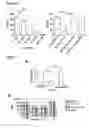 Fig. 06 - Peptides and binding partners therefor