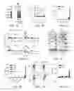 Fig. 02 - Modified T cell comprising a polynucleotide encoding an inducible stimulating molecule comprising MyD88, CD40 and FKBP12