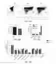 Fig. 06 - Modified T cell comprising a polynucleotide encoding an inducible stimulating molecule comprising MyD88, CD40 and FKBP12