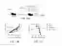 Fig. 14 - Modified T cell comprising a polynucleotide encoding an inducible stimulating molecule comprising MyD88, CD40 and FKBP12