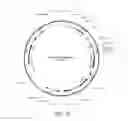 Fig. 17 - Modified T cell comprising a polynucleotide encoding an inducible stimulating molecule comprising MyD88, CD40 and FKBP12