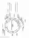 Fig. 22 - Modified T cell comprising a polynucleotide encoding an inducible stimulating molecule comprising MyD88, CD40 and FKBP12