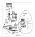 Fig. 23 - Modified T cell comprising a polynucleotide encoding an inducible stimulating molecule comprising MyD88, CD40 and FKBP12