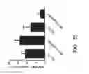 Fig. 57 - Modified T cell comprising a polynucleotide encoding an inducible stimulating molecule comprising MyD88, CD40 and FKBP12