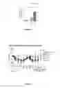 Fig. 21 - Heterodimeric immunoglobulins
