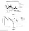 Fig. 23 - Heterodimeric immunoglobulins