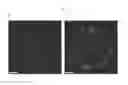 Fig. 06 - Notch2 binding molecules for treating respiratory diseases