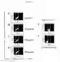 Fig. 17 - KIR-binding agents and methods of use thereof