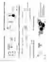 Fig. 04 - Therapeutic peptides