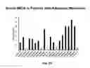 Fig. 29 - Therapeutic peptides