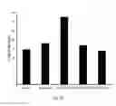 Fig. 40 - Therapeutic peptides