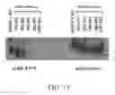 Fig. 131 - SPECIFIC BINDING PROTEINS AND USES THEREOF