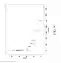 Fig. 154 - SPECIFIC BINDING PROTEINS AND USES THEREOF