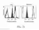 Fig. 23 - SPECIFIC BINDING PROTEINS AND USES THEREOF