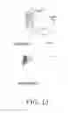 Fig. 25 - SPECIFIC BINDING PROTEINS AND USES THEREOF