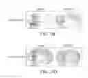 Fig. 27 - SPECIFIC BINDING PROTEINS AND USES THEREOF