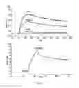 Fig. 11 - IDENTIFICATION AND MOLECULAR CHARACTERISATION OF PROTEINS, EXPRESSED IN THE IXODES RICINUS SALIVARY GLANDS