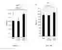 Fig. 13 - IDENTIFICATION AND MOLECULAR CHARACTERISATION OF PROTEINS, EXPRESSED IN THE IXODES RICINUS SALIVARY GLANDS