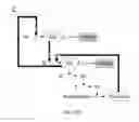 Fig. 17 - IDENTIFICATION AND MOLECULAR CHARACTERISATION OF PROTEINS, EXPRESSED IN THE IXODES RICINUS SALIVARY GLANDS