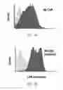 Fig. 03 - Chimeric antigen receptors with an optimized hinge region