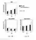 Fig. 05 - Chimeric antigen receptors with an optimized hinge region