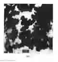 Fig. 03 - ALUMINUM PHOSPHATE OR POLYPHOSPHATE PARTICLES FOR USE AS PIGMENTS IN PAINTS AND METHOD OF MAKING SAME