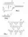 Fig. 02 - Gas barrier material with atomic sheet