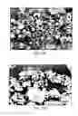 Fig. 30 - Systems and processes for catalytic pyrolysis of biomass and hydrocarbonaceous materials for production of aromatics with optional olefin recycle, and catalysts having selected particle size for catalytic pyrolysis