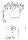 Fig. 114 - Endophytes and related methods
