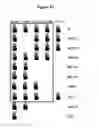 Fig. 60 - Endophytes and related methods